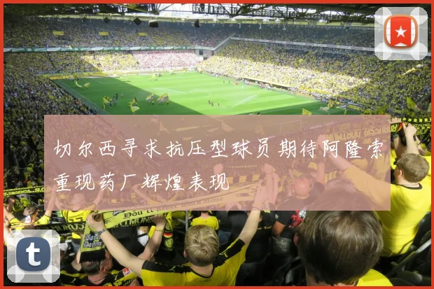 切尔西寻求抗压型球员期待阿隆索重现药厂辉煌表现