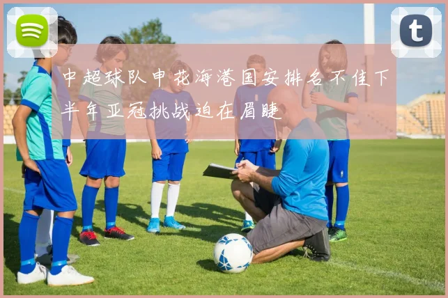 中超球队申花海港国安排名不佳下半年亚冠挑战迫在眉睫
